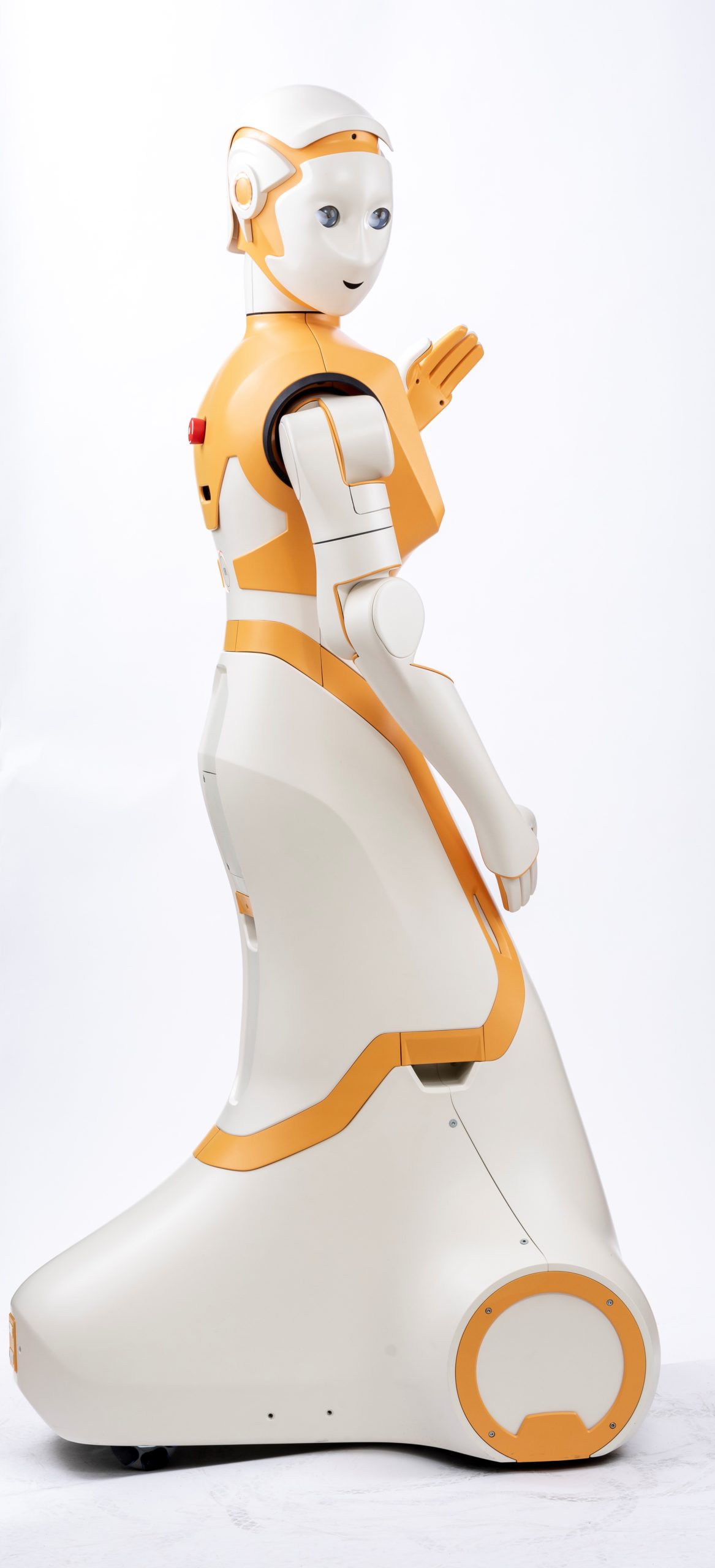 ARI-SPRING robot, Credit PAL Robotics